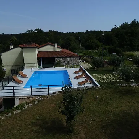 Plasa * Zaluki