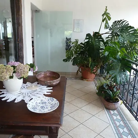 Villa Plasa *